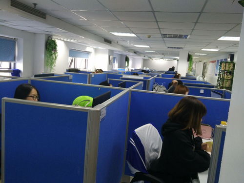 上海回聲網絡科技 專業(yè)網絡技術服務領航者